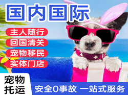 十堰武当山机场空运国际宠物托运 【国